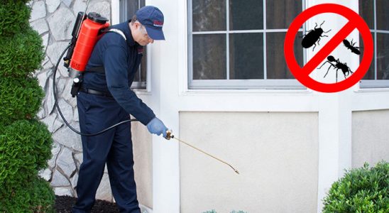 Çukurca Dezenfeksiyon böcek ilaçlama ve haşere kontrolü — ilaclama-tr.com